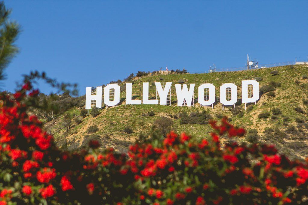 California software development services in USA