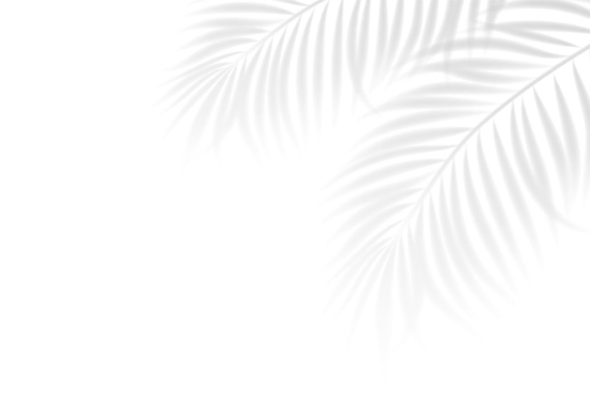 Contact section image