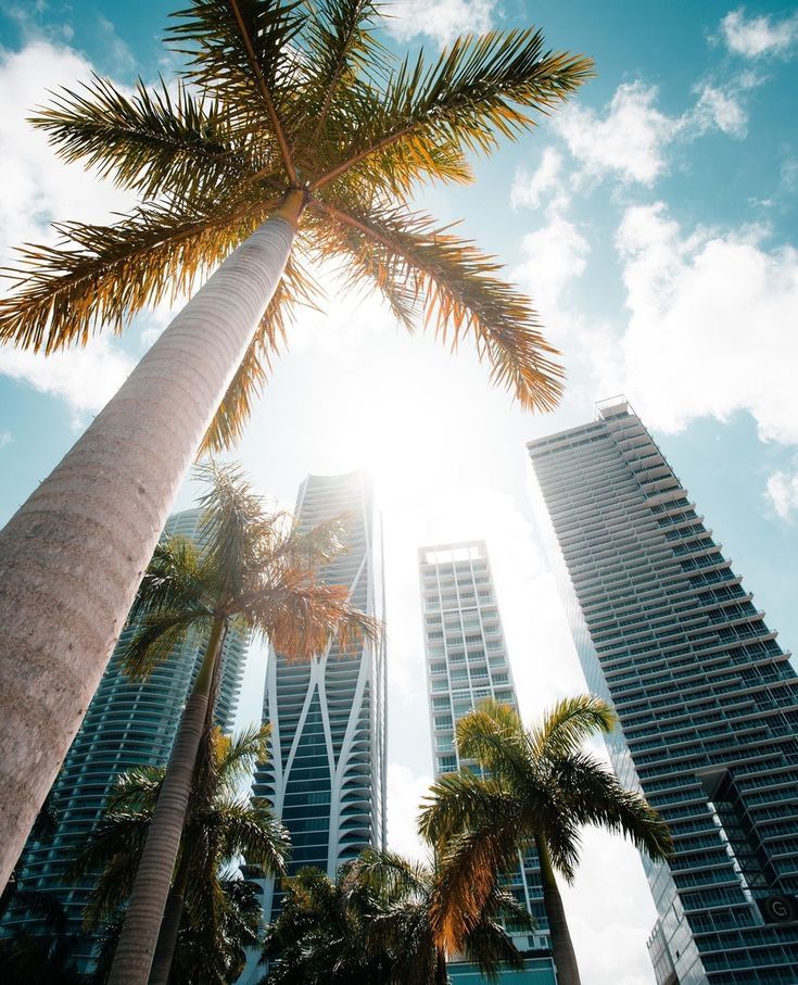 USA Custom Software Development Expertise — Stellar Code System